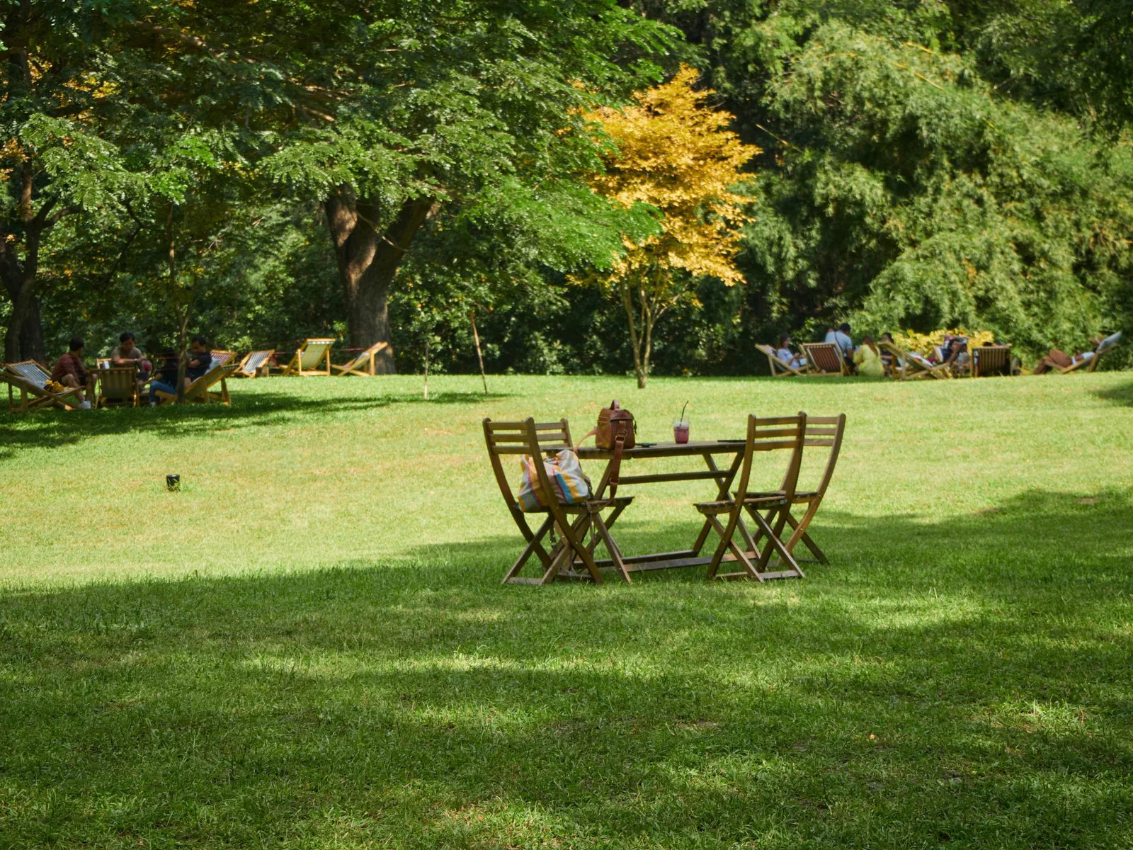 The Quiet Power of a Spring Reset